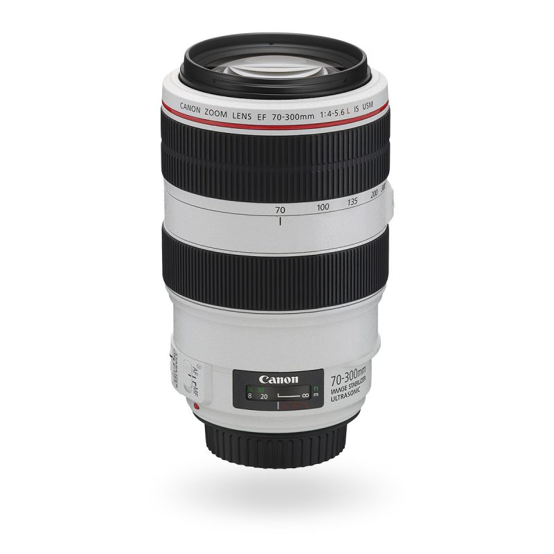 CANON EF 70-300mm F4-5.6 IS USM#220054 定期販売 - www