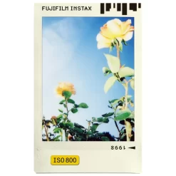 Fujifilm Instax Mini Film Photo Slide-Detail4